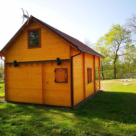 Villa Janowickie Zacisze Janowice Wielkie Exterior foto